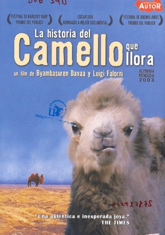 La historia del camello que llora