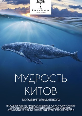 Мудрость китов