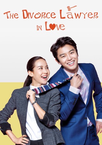 Divorce Lawyer in Love