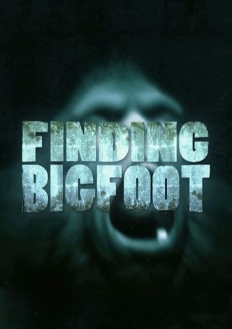 Auf Bigfoots Spuren