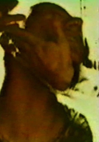 Razor Head