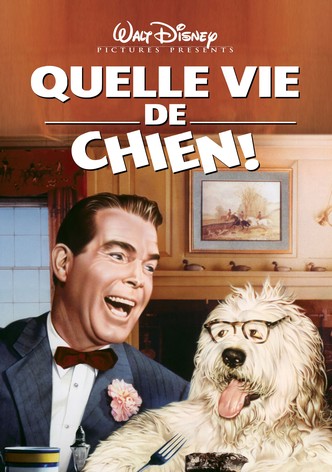 Quelle vie de chien !