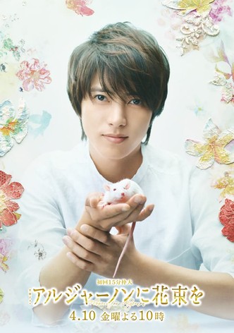 アルジャーノンに花束を