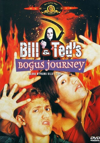 Szalona Wyprawa Billa i Teda