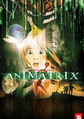 Animatrix: A História Antes de Matrix