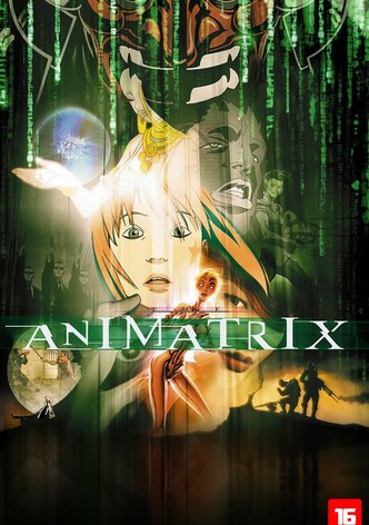 Animatrix: A História Antes de Matrix