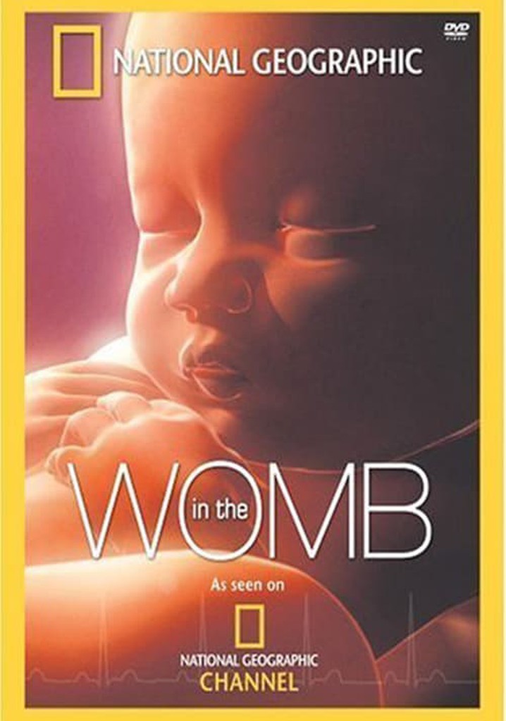 Yaşama Yolculuk - Anne Karnında Yaşamın Öyküsü