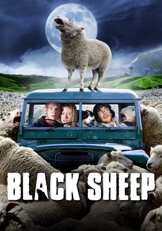 Black Sheep