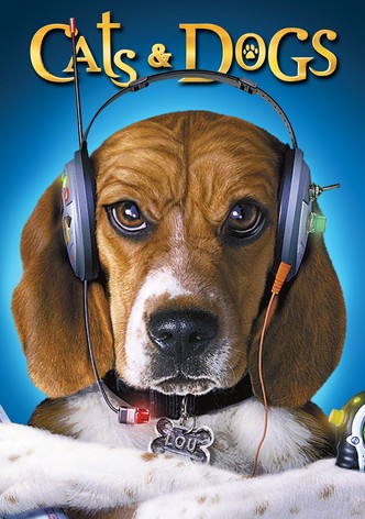Cats & Dogs