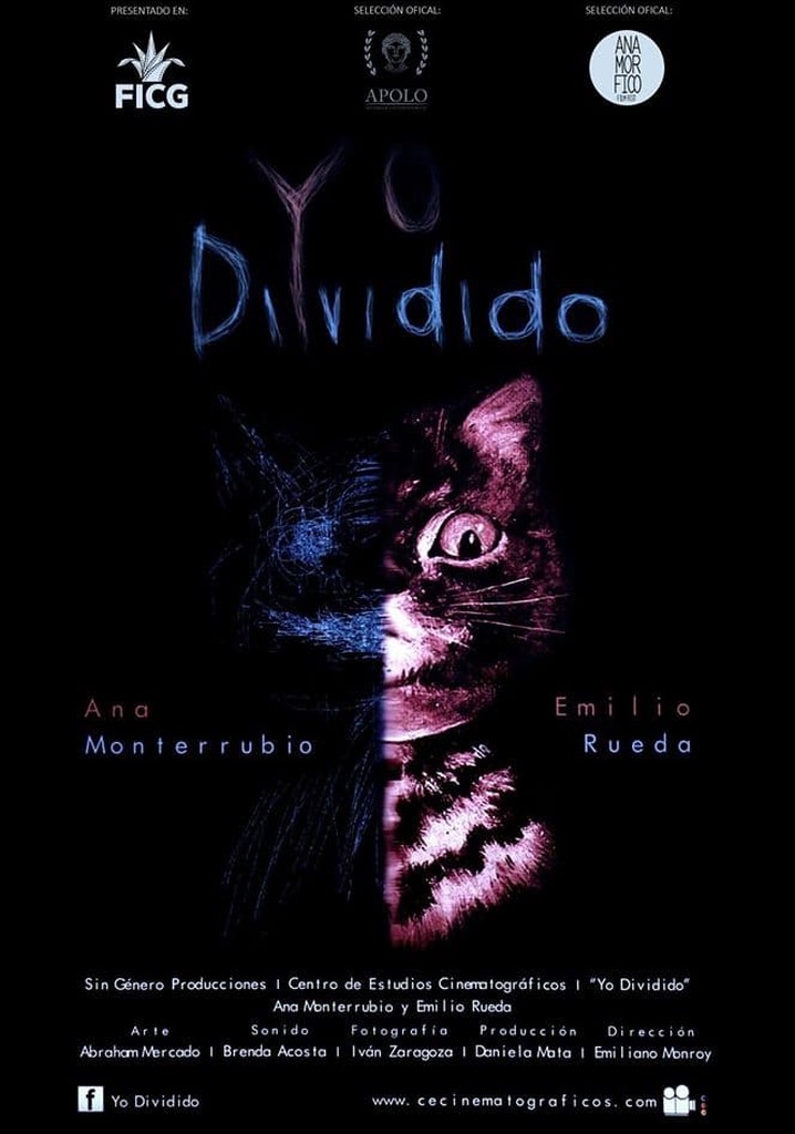 Yo Dividido