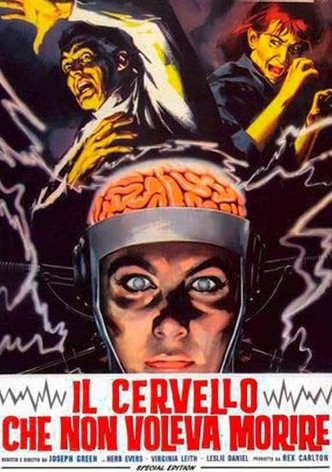 Il cervello che non voleva morire