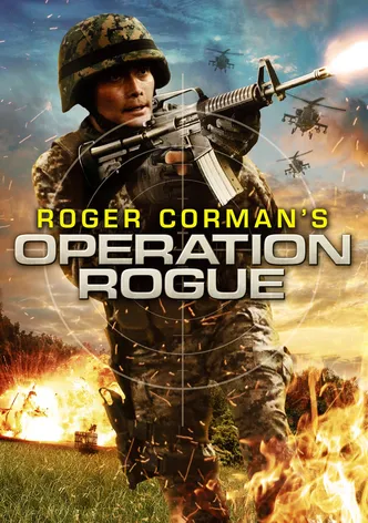 Operation Rogue poster