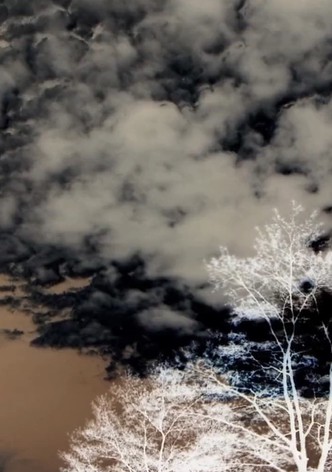 Clouds and Trees