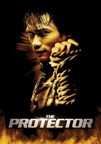 The Protector poster