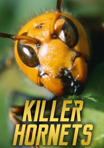 Killer Hornets