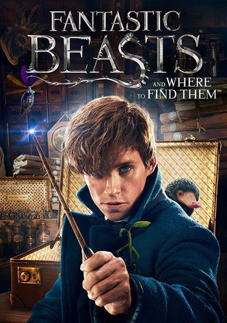 Before Harry Potter: A New Era of Magic Begins!