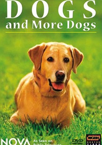 Dogs and More Dogs