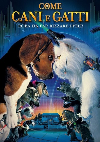 Come cani e gatti
