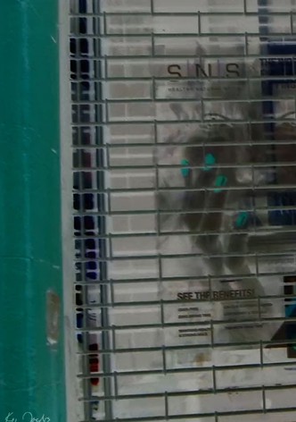 Storefront
