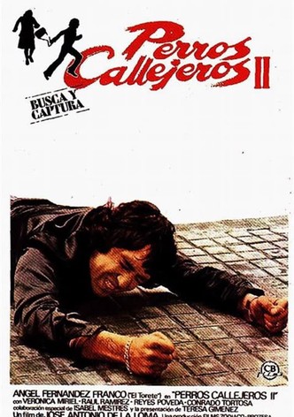 Perros callejeros II