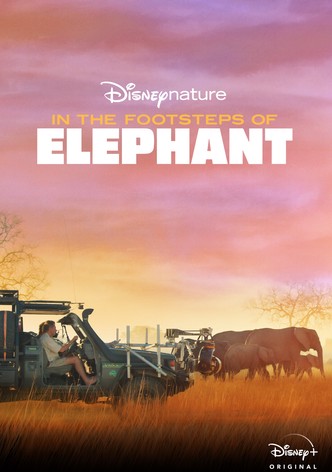 In the Footsteps of Elephant