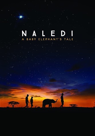 Naledi - Ein Elefantenleben