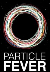 Particle Fever