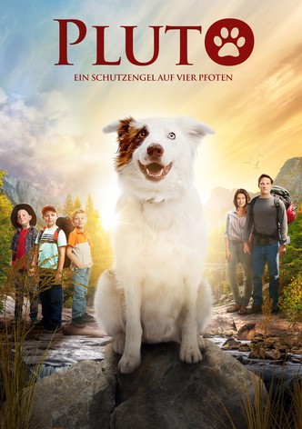 Pluto - Ein Schutzengel auf vier Pfoten