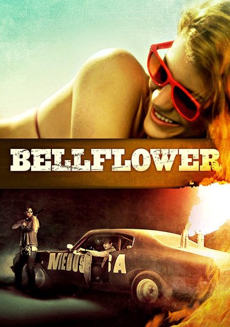 Bellflower