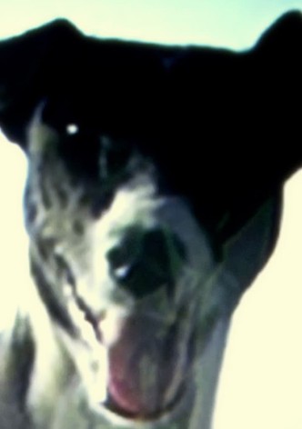 Escape Velocity