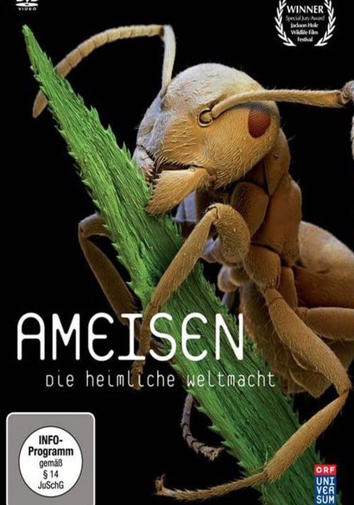 Ameisen - Die heimliche Weltmacht