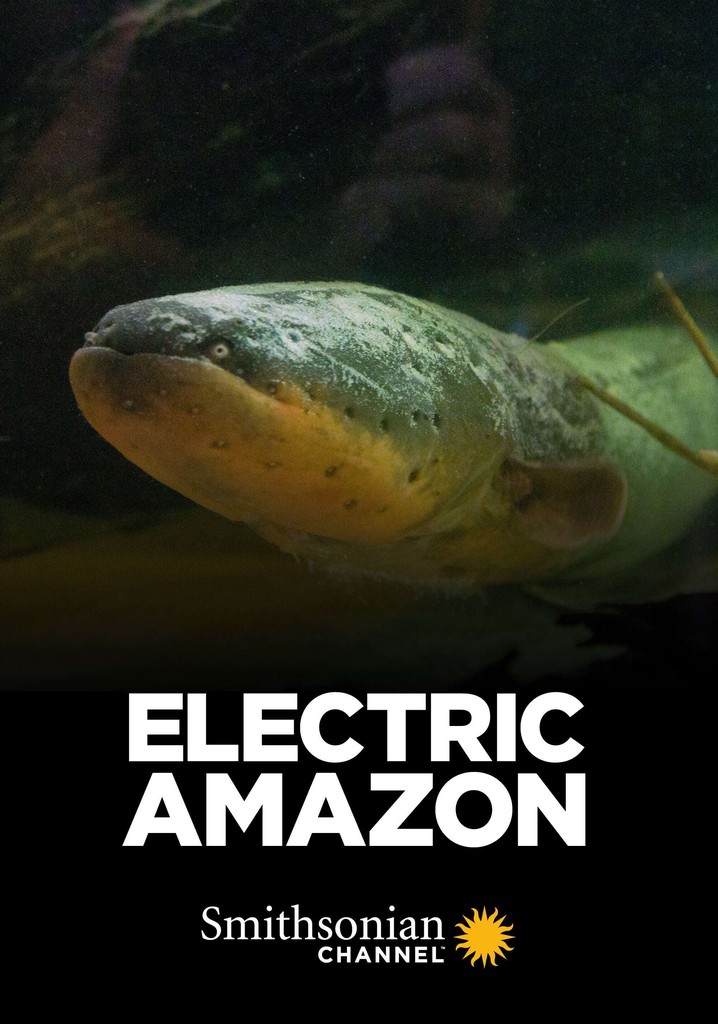 Electric Amazon