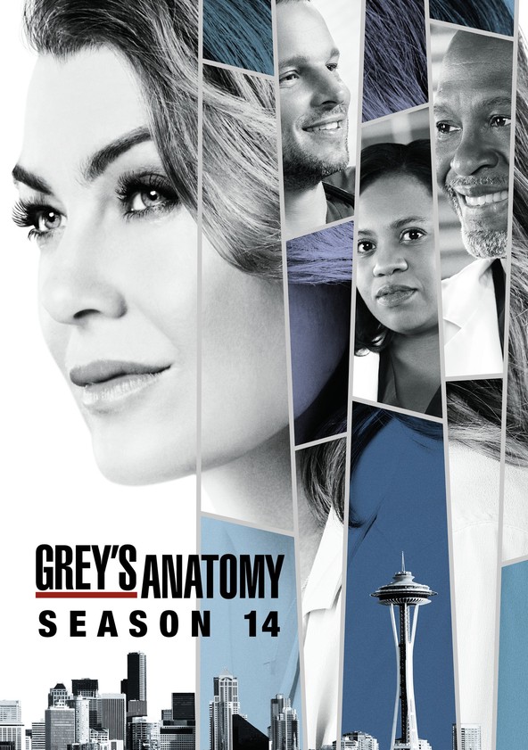 Live stream grey's 2025 anatomy season 14