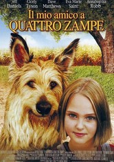 Il mio amico a quattro zampe