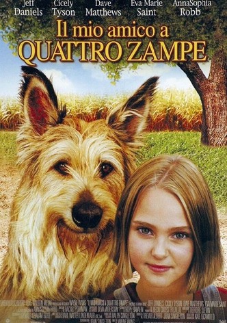 Il mio amico a quattro zampe