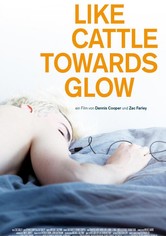 Like Cattle Towards Glow