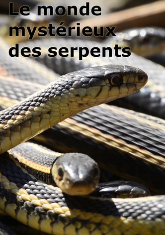 Le monde mystérieux des serpents
