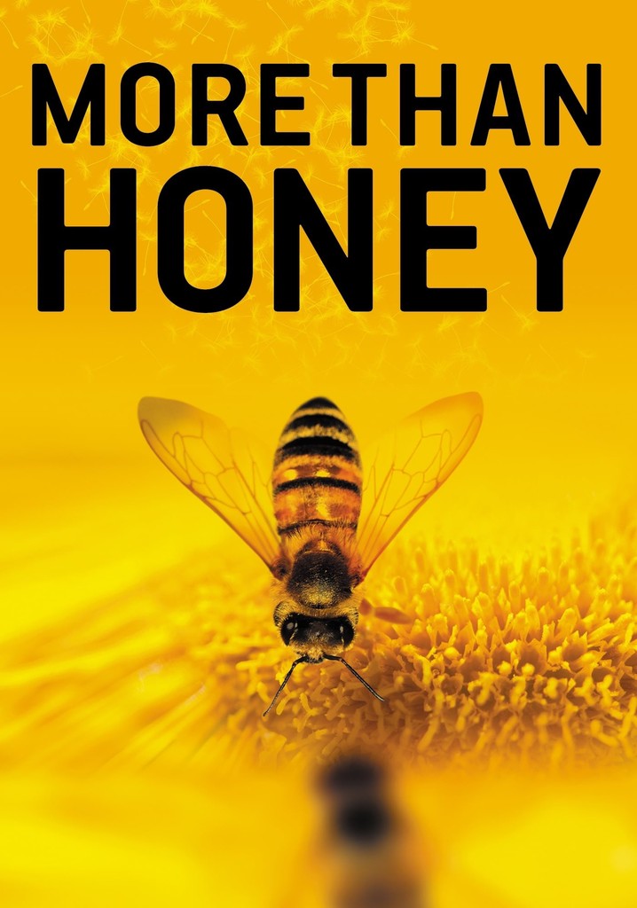 More Than Honey streaming where to watch online?