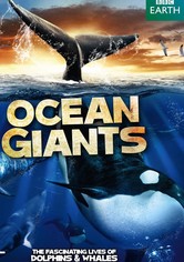 Ocean Giants