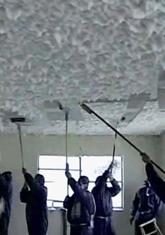 Asbestos