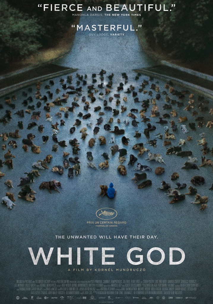 White God streaming: where to watch movie online?