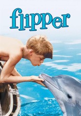 Mi amigo Flipper