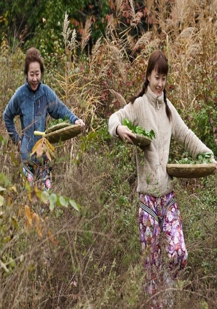 Ladies Of The Forest