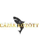 Cápák között - Évad 7
