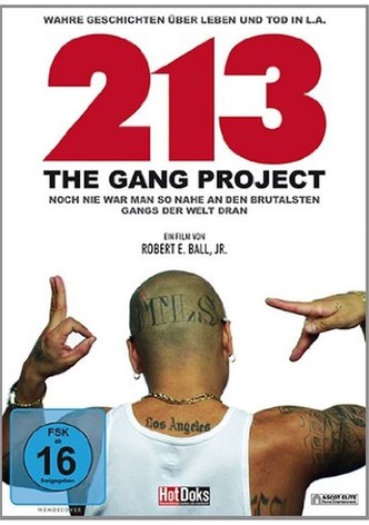 213 - The Gang Project