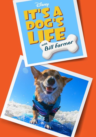 It's a Dog's Life with Bill Farmer