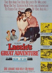 Lassie, la grande aventure