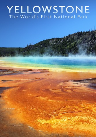 National Parks Exploration Series: Yellowstone