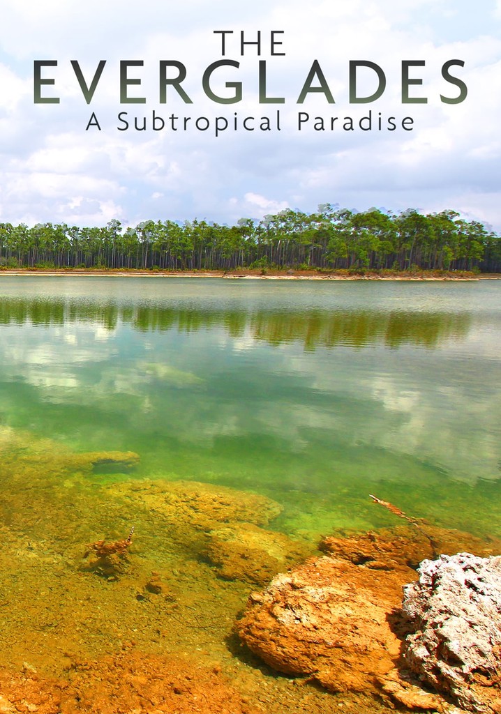 National Parks Exploration Series: The Everglades