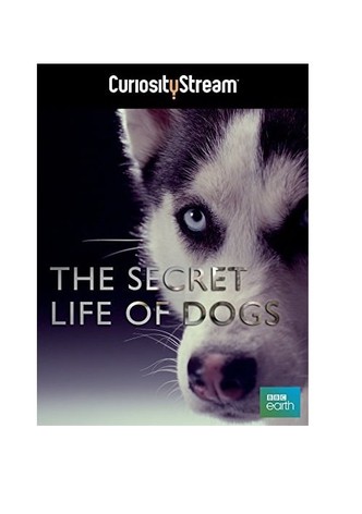 The Secret Life of Dogs